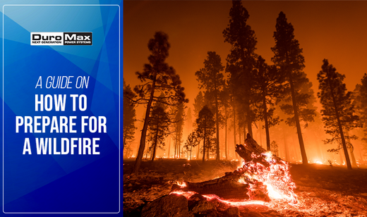 Guide: How to Prepare for a Wildfire | DuroMax – DuroMax Power Equipment