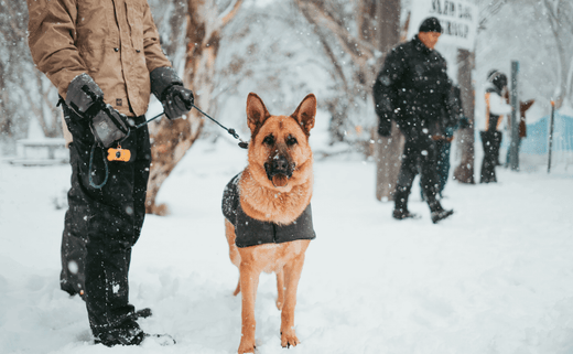 Nor'Easter Slams East Coast, Marking First Winter Storm of the Holiday Season
