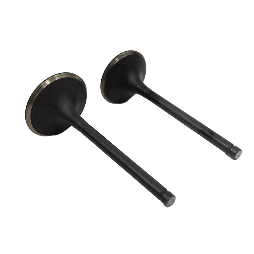 DuroMax DuroMax Replacement Generator Valves Set - DMXP-15-006-VAS